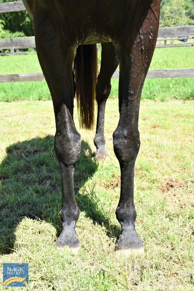 Impairment (AUS) - Image 3