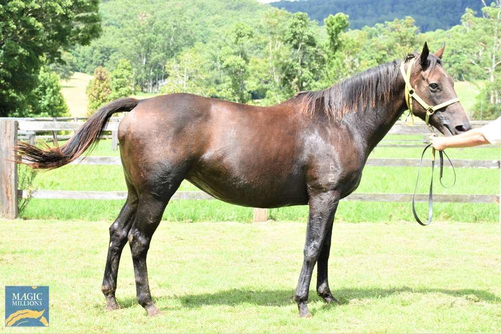 Ibtisama (AUS) - Image 1