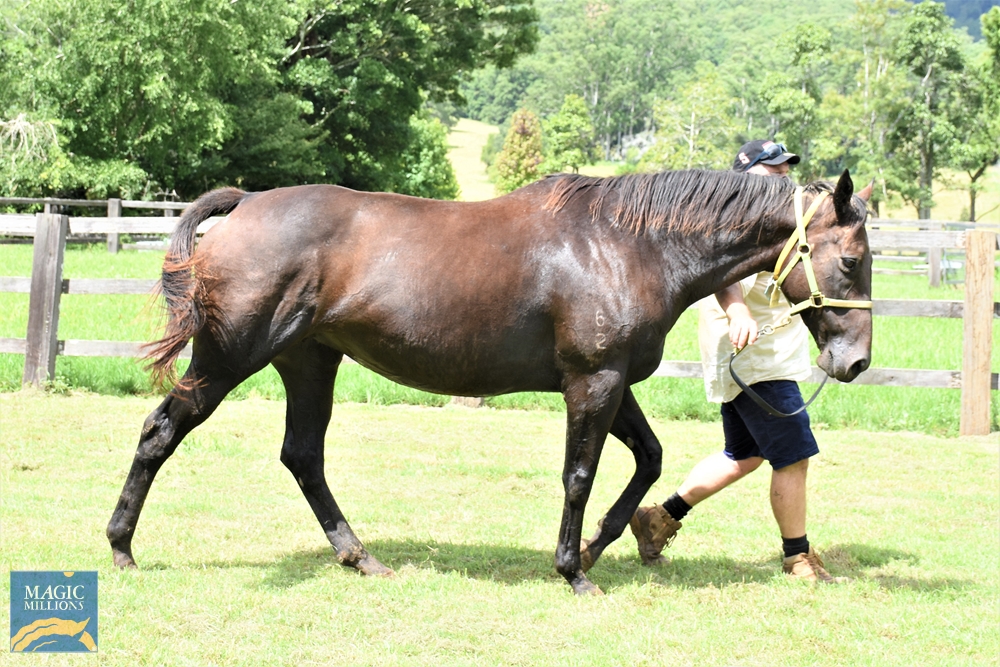 Ibtisama (AUS) - Image 2