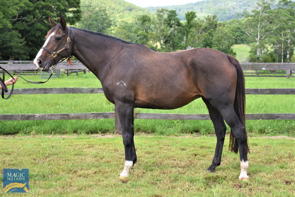 Dollars Not Sense (AUS) - Image 1