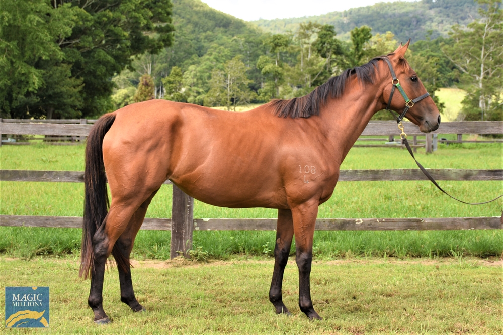 Hard Ruler (AUS) - Image 2