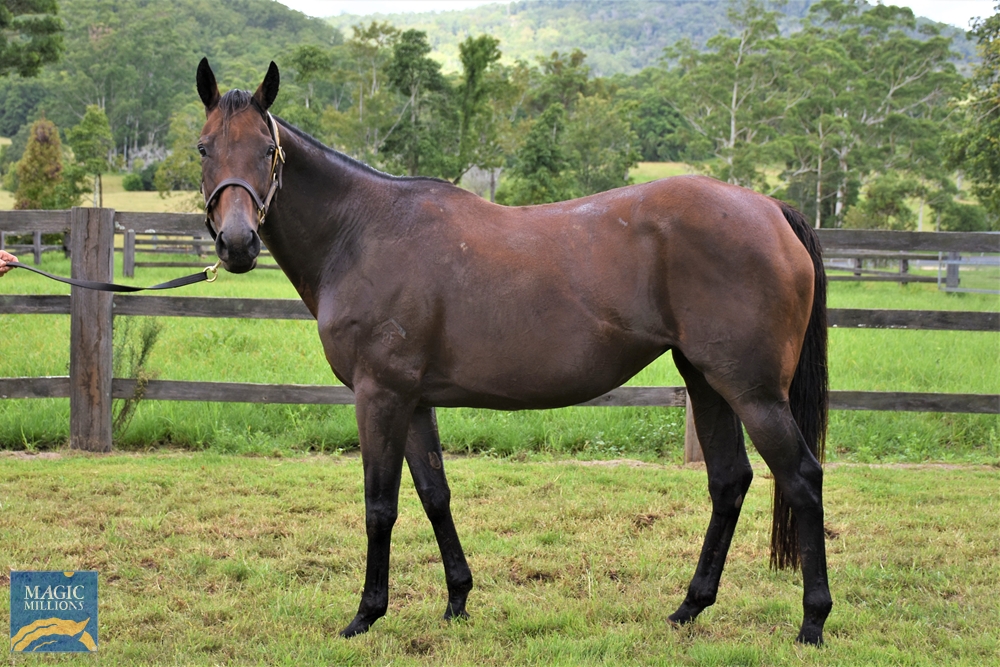 Judge Me Gently (AUS) - Image 1