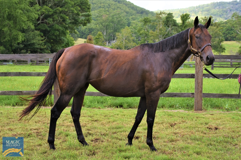 Judge Me Gently (AUS) - Image 2