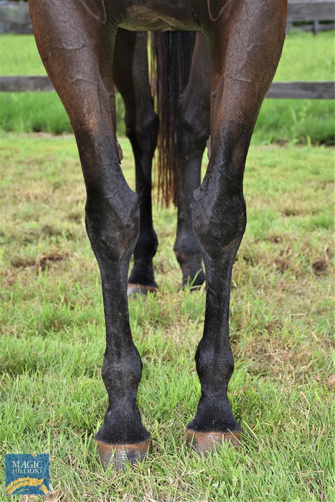 Judge Me Gently (AUS) - Image 3