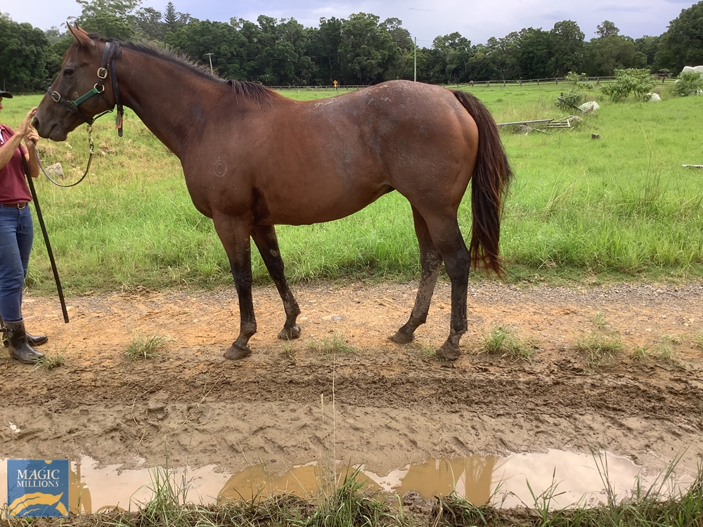 Rhythms (AUS) - Image 1