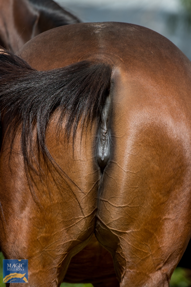 Drizzle (AUS) - Image 5