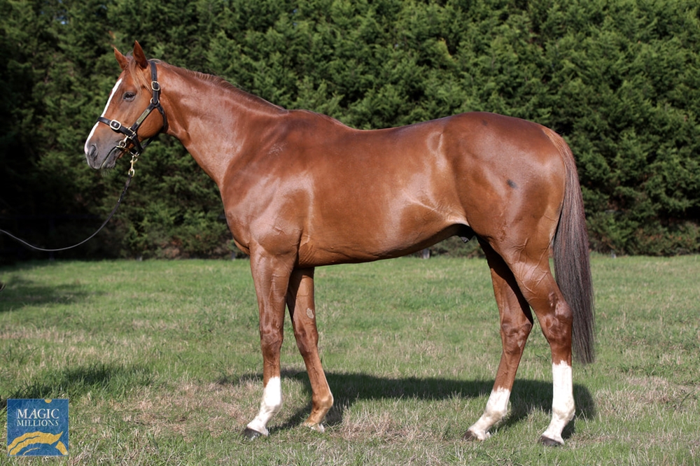 Neorealism (JPN) - Image 1