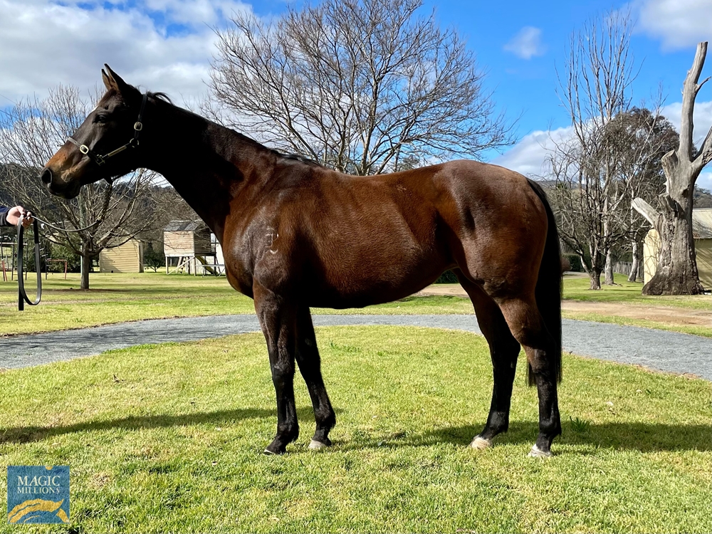 Yupik (AUS) - Image 1