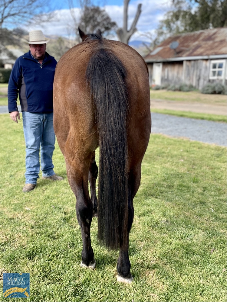 Yupik (AUS) - Image 2