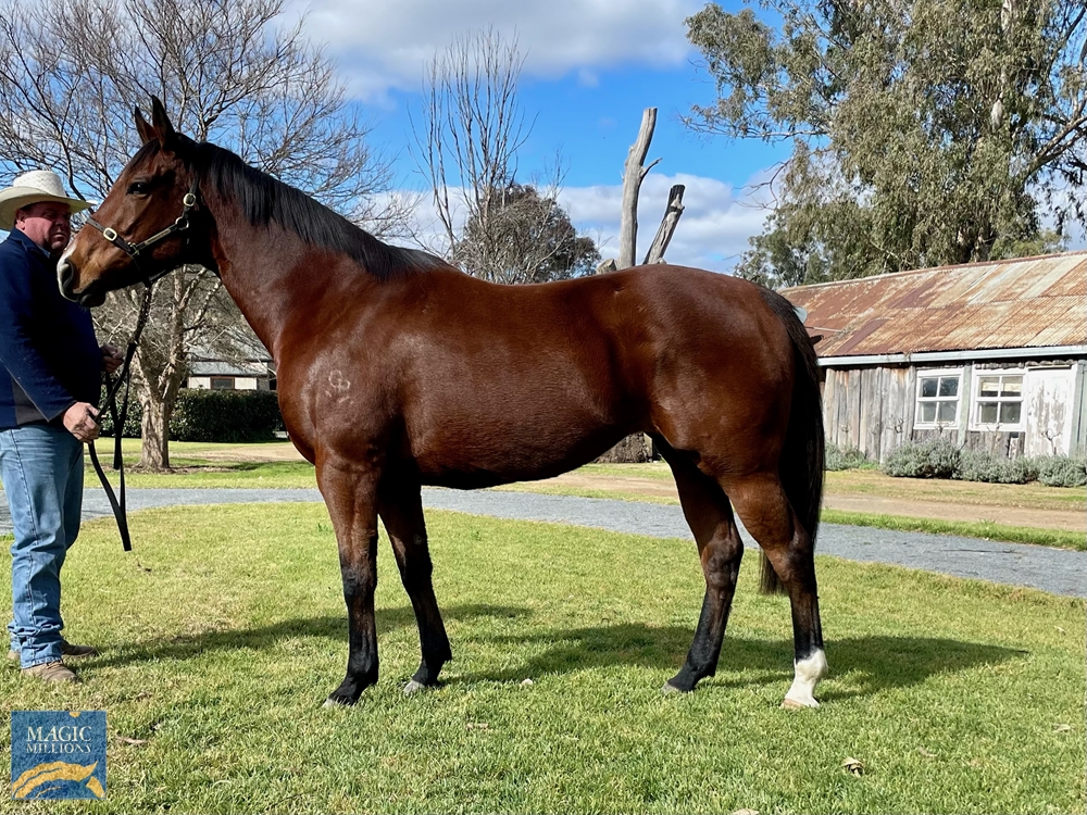 Commanding West (AUS) - Image 1