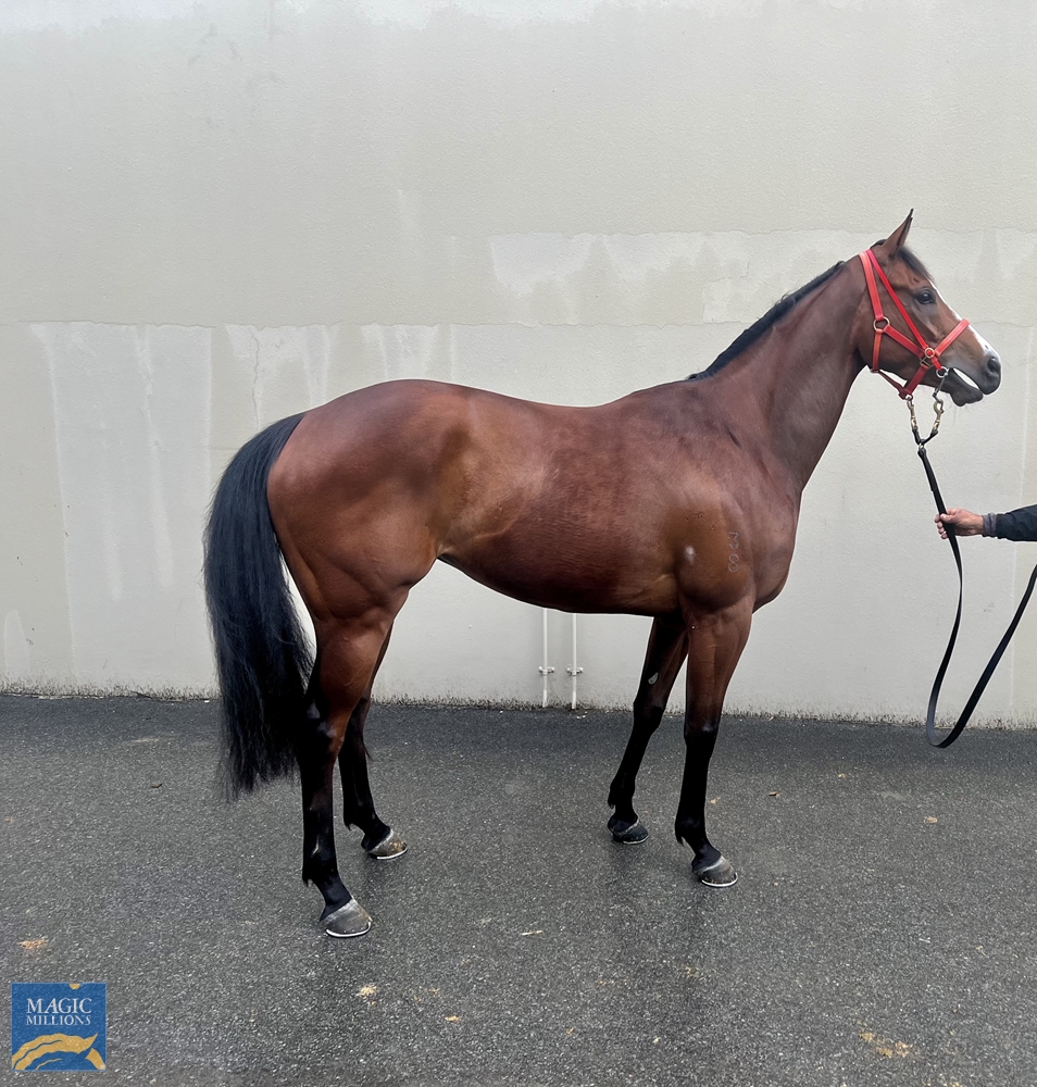 Dundas (AUS) - Image 1