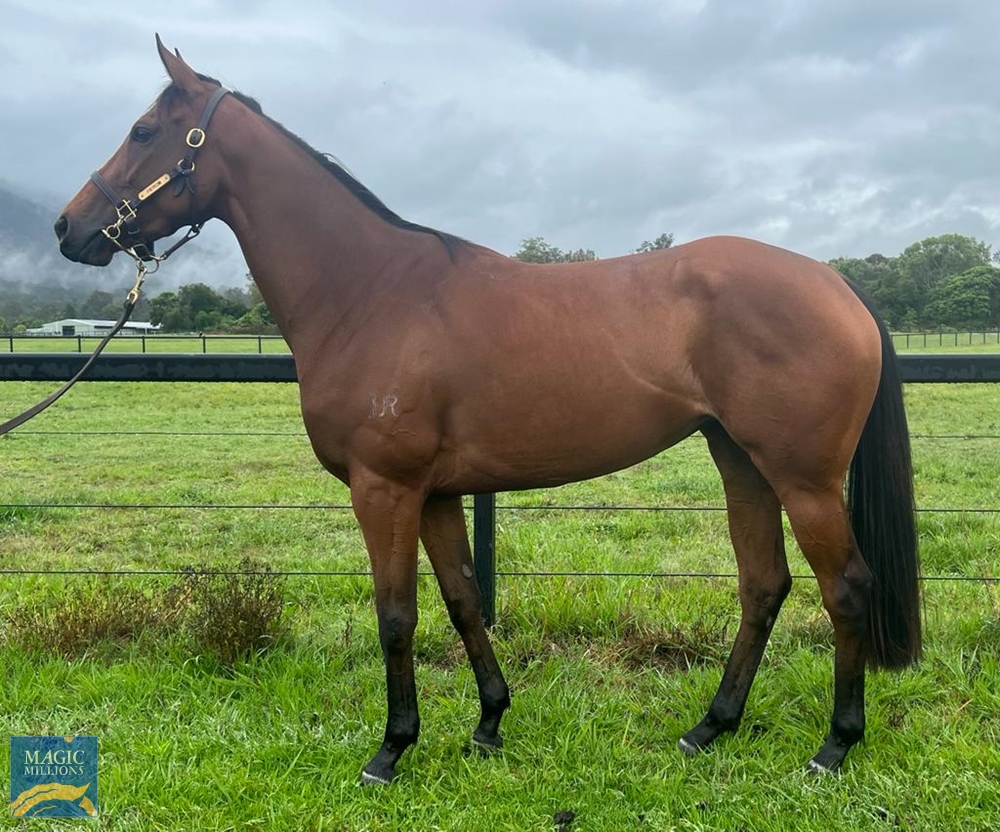 Deep Attraction (AUS) - Image 1