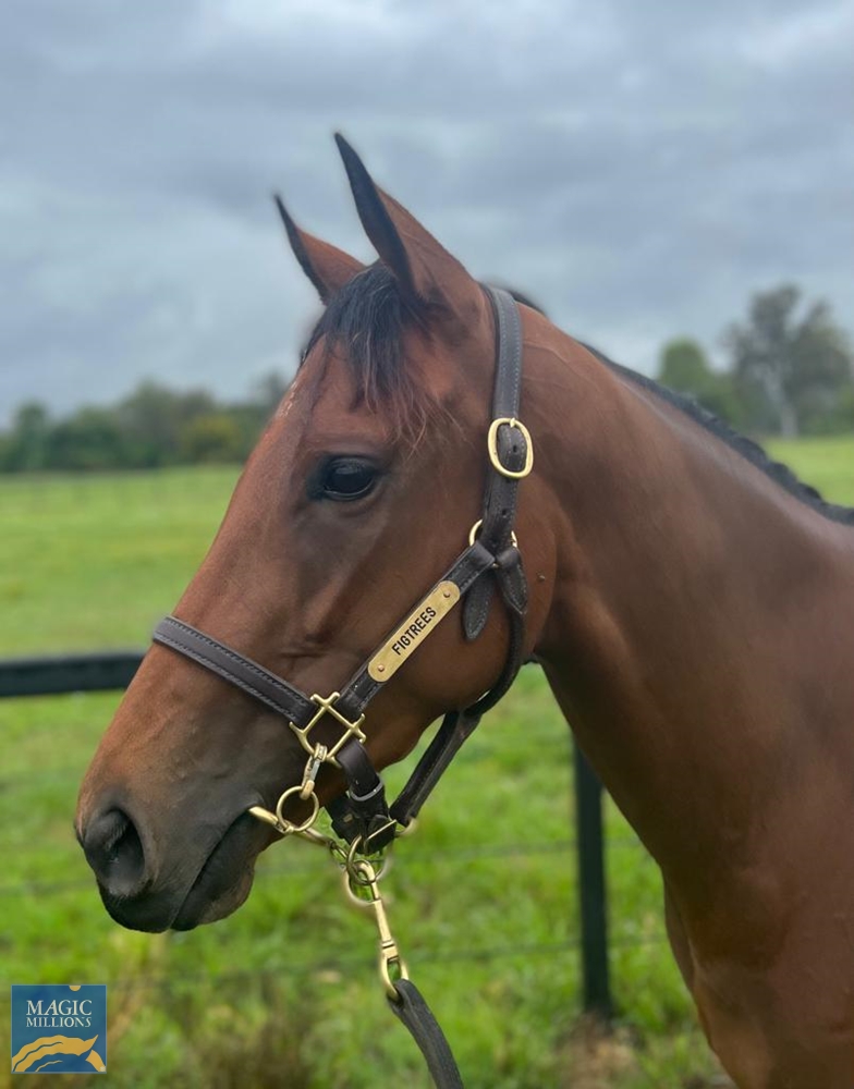 Deep Attraction (AUS) - Image 2