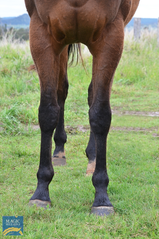 Gundaroo (AUS) - Image 1