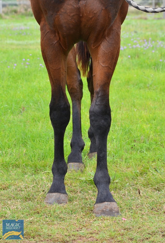 Goodonya (AUS) - Image 2