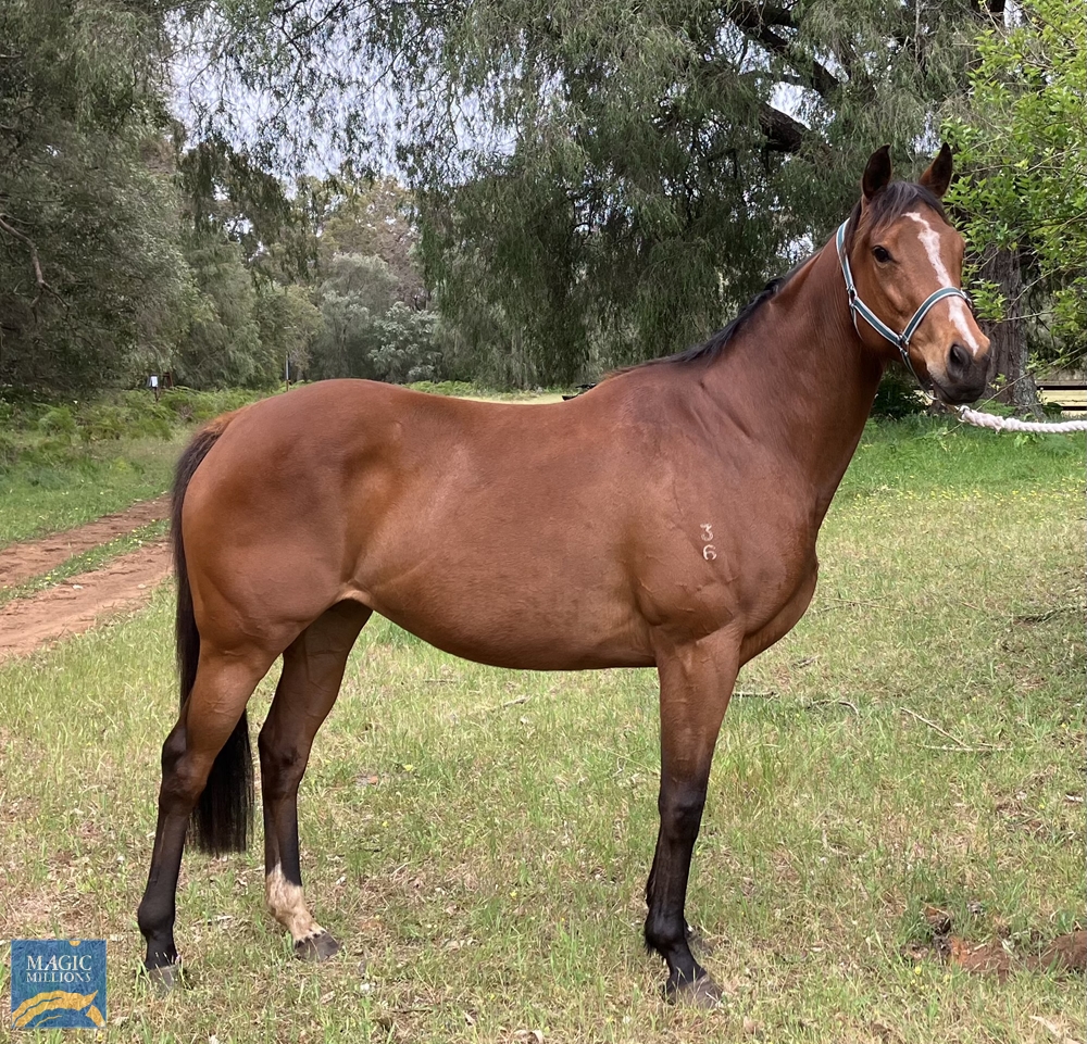 Rubic Rose (AUS) - Image 1