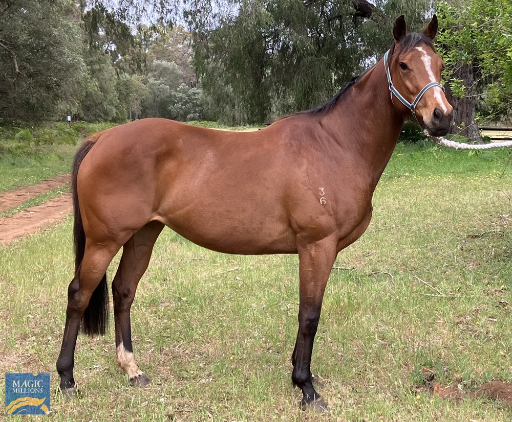 Rubic Rose (AUS) - Image 4