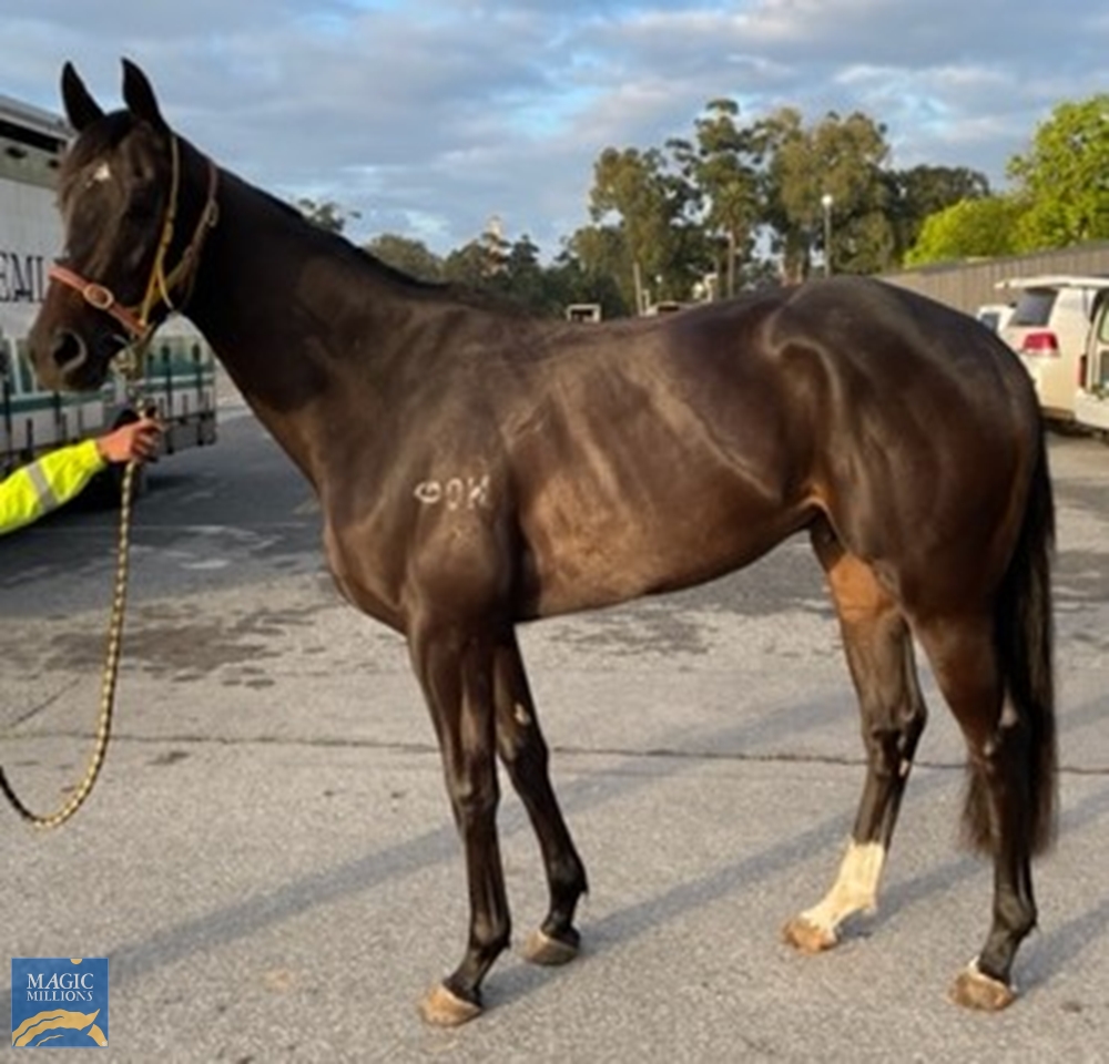 Duratime (AUS) - Image 2