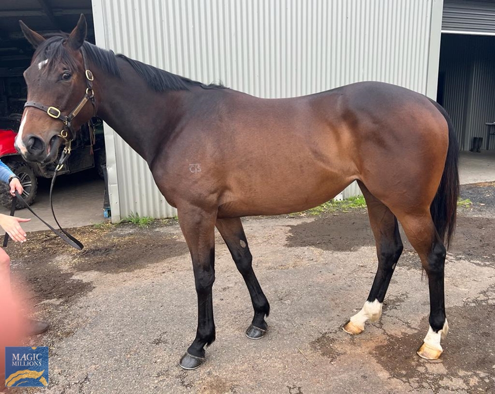 Missile Base (AUS) - Image 1