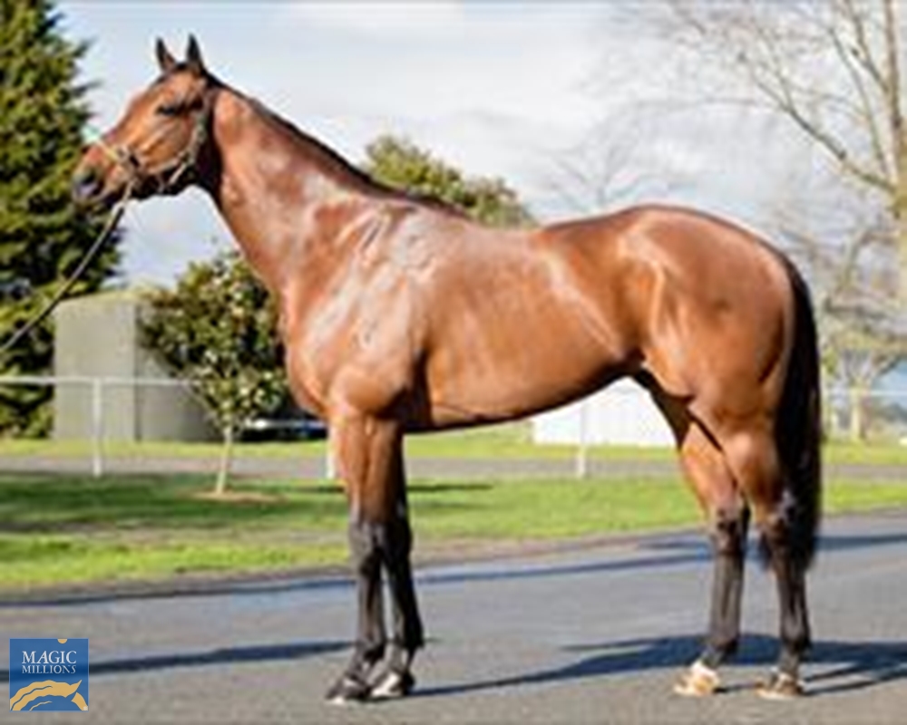 Heroic Valour (AUS) - Image 1