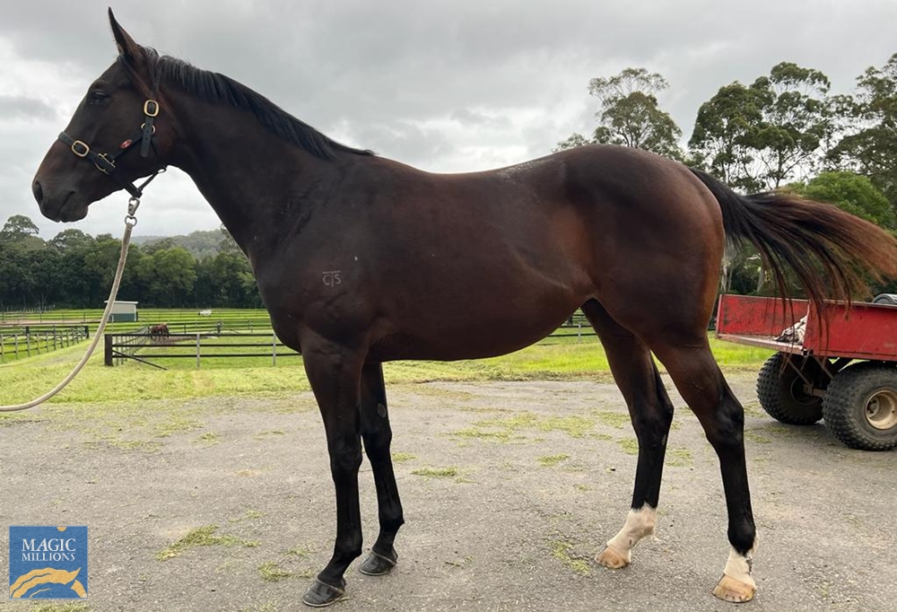 Missile Base (AUS) - Image 1