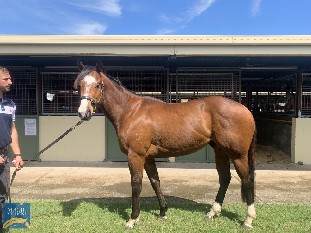 Irrigator (AUS) - Image 1