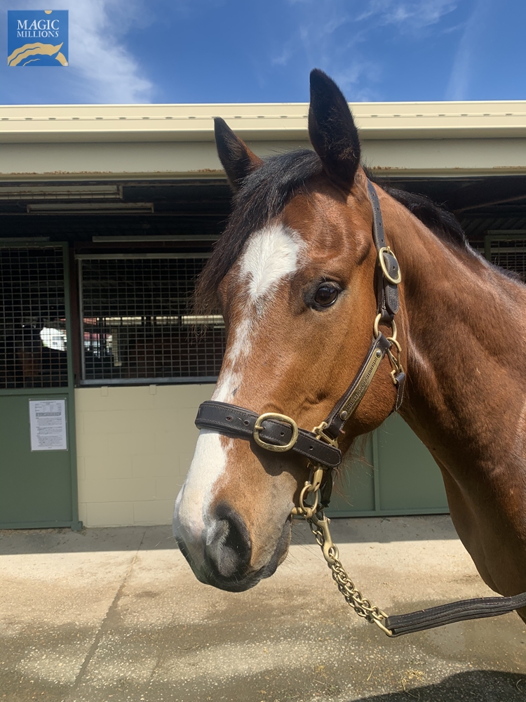 Irrigator (AUS) - Image 1