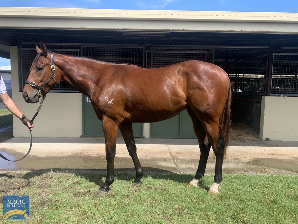 Lumens Lenny (AUS) - Image 1