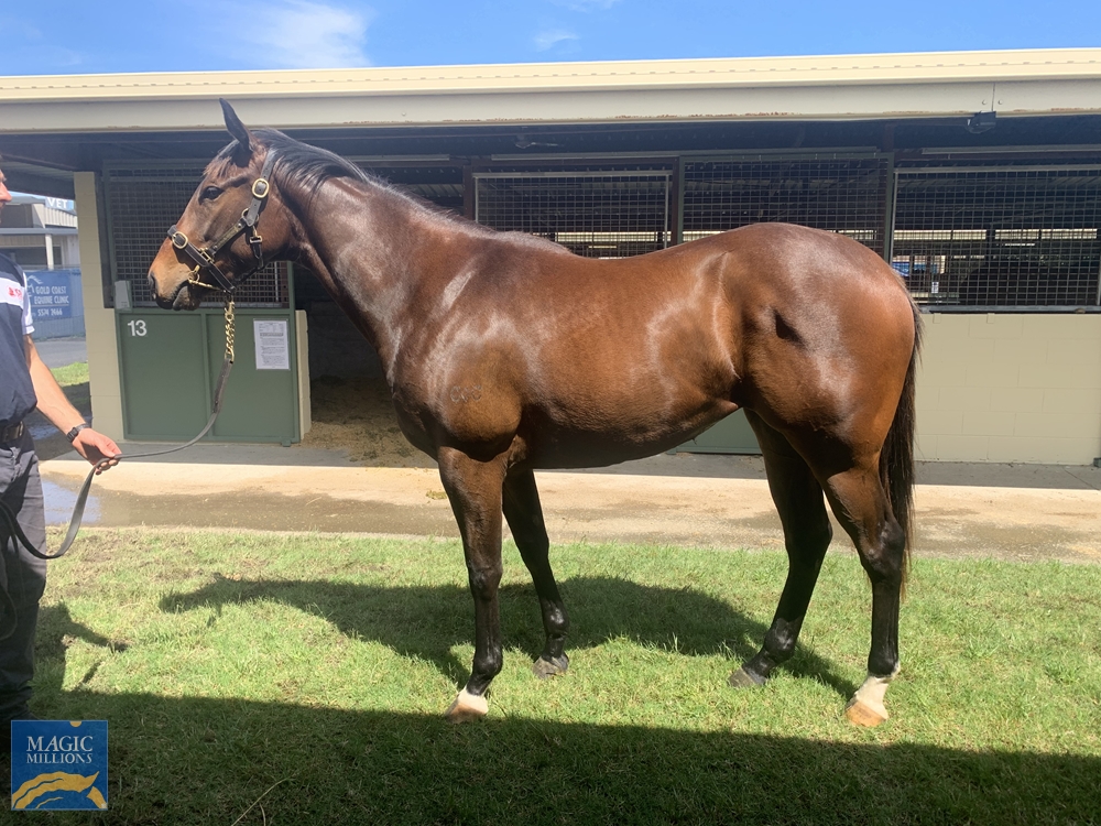 Avone (AUS) - Image 1