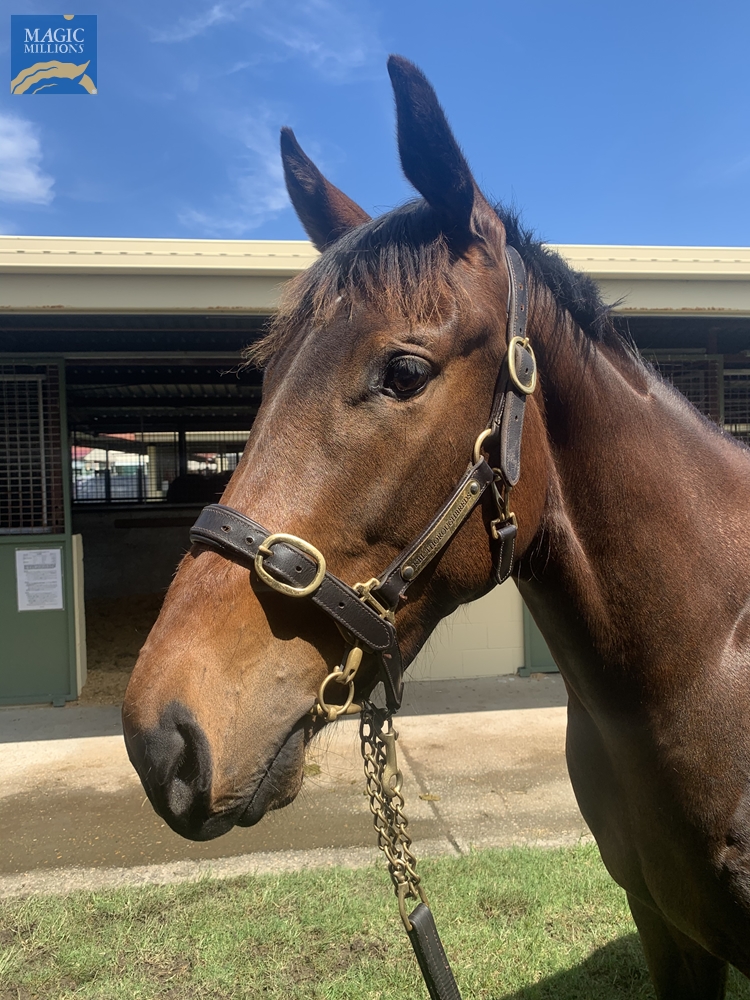 Avone (AUS) - Image 1