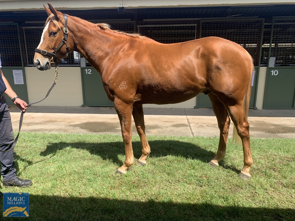 Do it for You (AUS) - Image 1