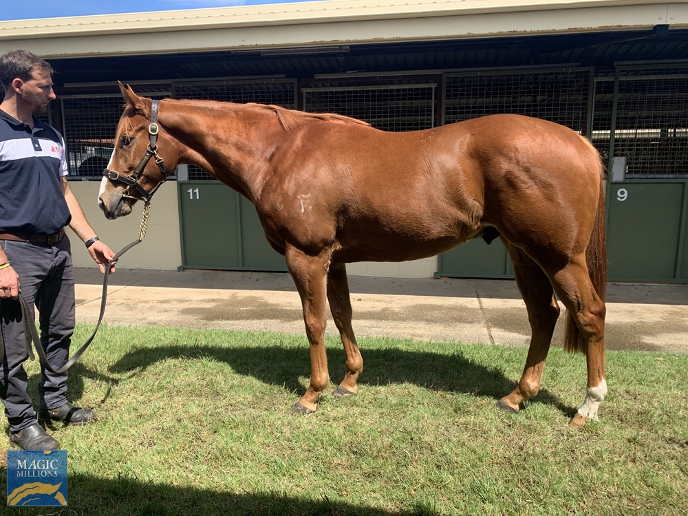 Mainbar (AUS) - Image 1