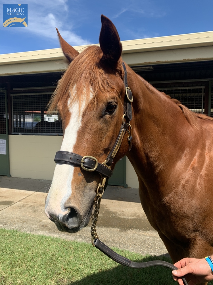 Mainbar (AUS) - Image 1