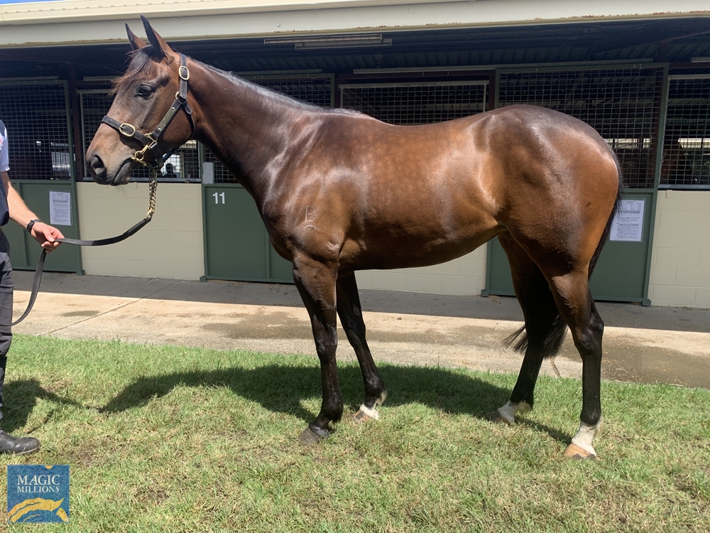 Polens (AUS) - Image 1