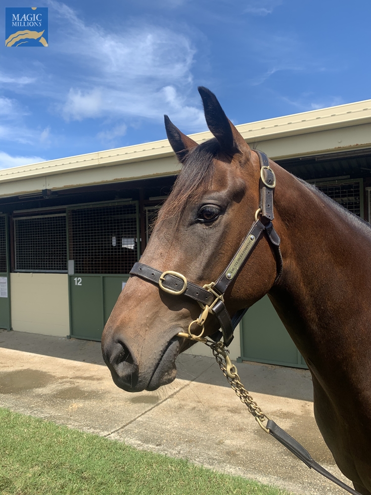 Polens (AUS) - Image 2