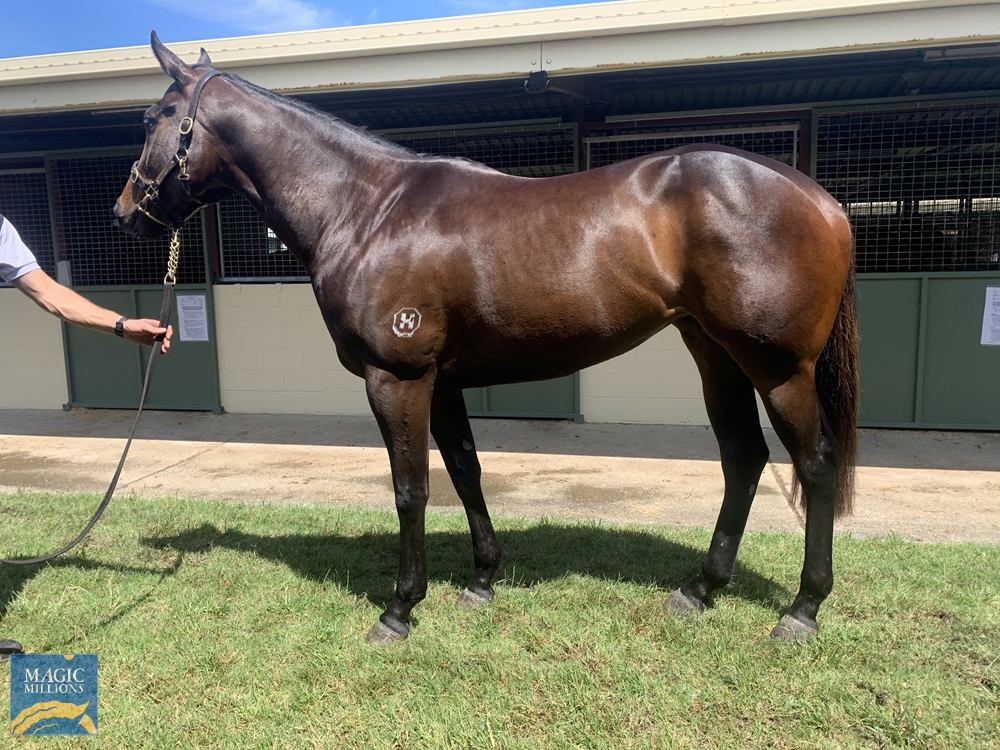Rose Ring (AUS) - Image 1