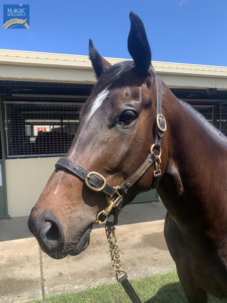 Rose Ring (AUS) - Image 2