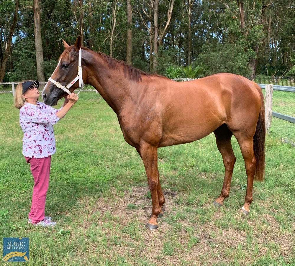 Lai See (AUS) - Image 1