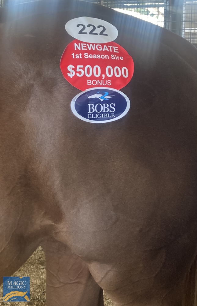 Perovskaya (AUS) - Image 2