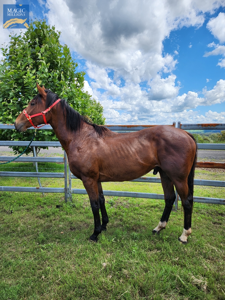 Game Day Anthem (AUS) - Image 1