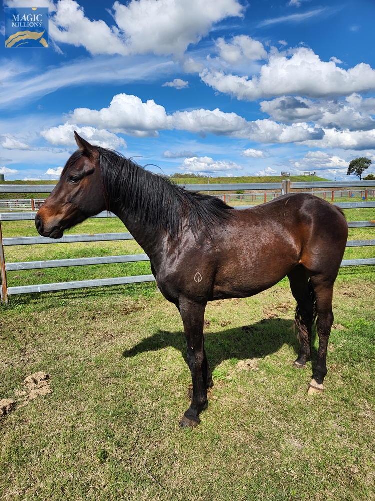 It's Holding (AUS) - Image 1