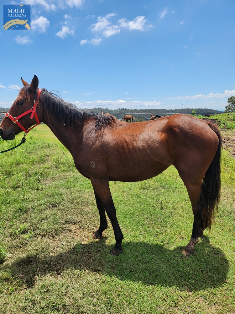 Fed Up (AUS) - Image 1