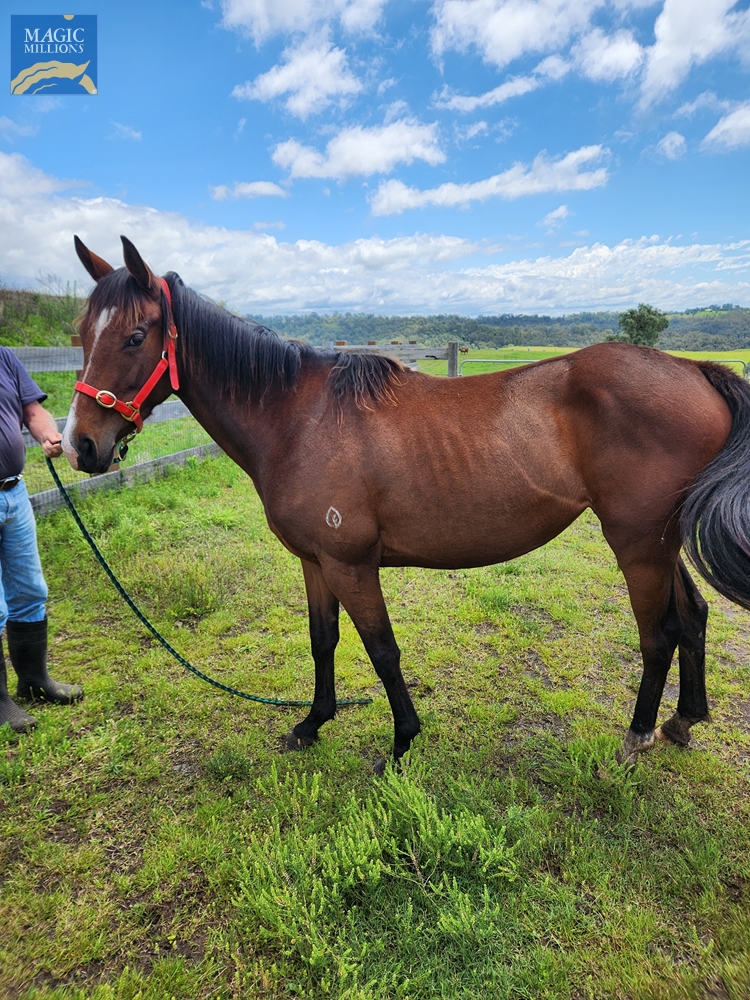 Fed Up (AUS) - Image 2