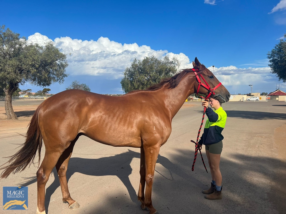 No Whispering (AUS) - Image 1