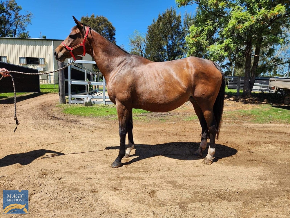 Mimi (AUS) - Image 1