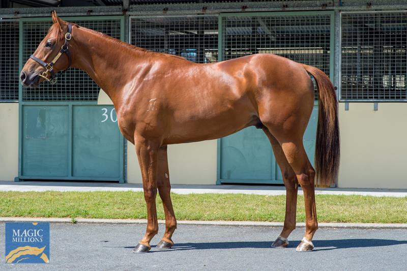 Rothesay (AUS) / Colonial Lass (AUS) - photo 1