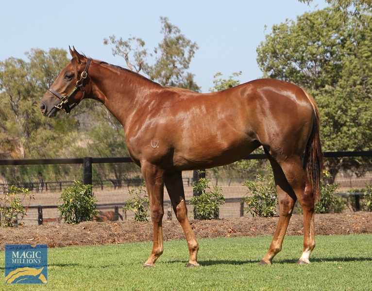 Choisir (AUS) / Classy Fashion (AUS) - photo 1