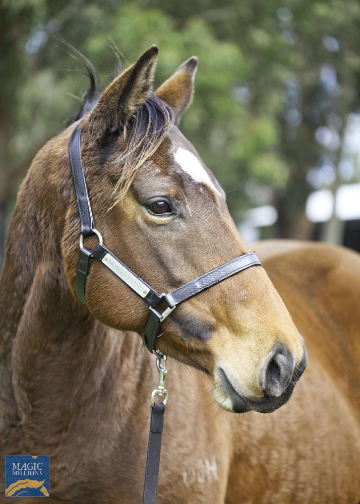 Hazel Hellraiser (AUS) - photo 4