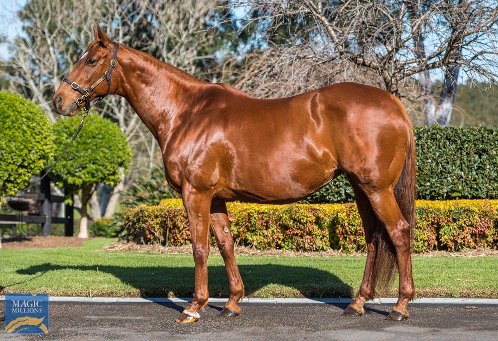 Dreams and Wishes (AUS) - photo 1