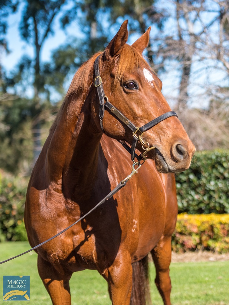 Dreams and Wishes (AUS) - photo 2